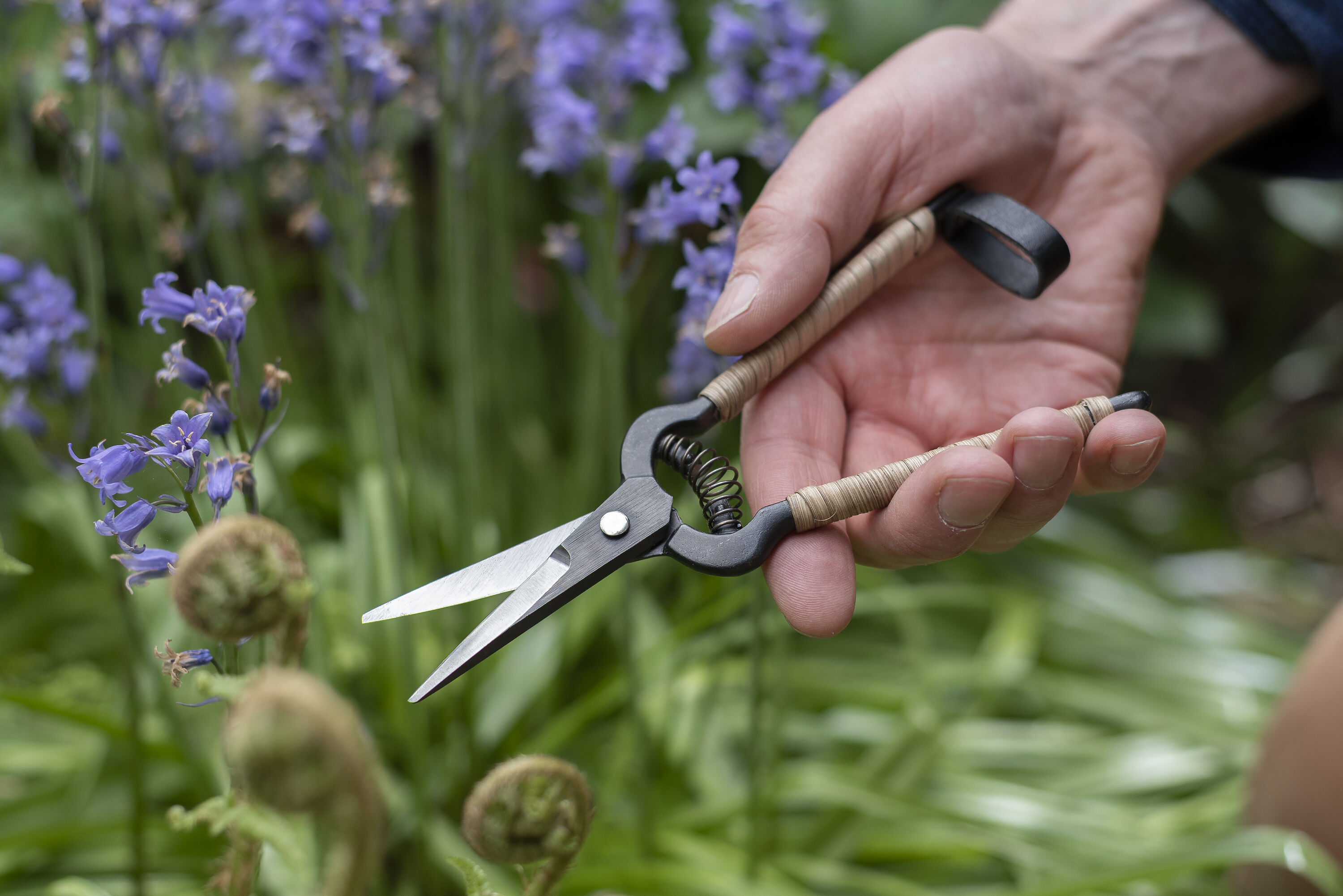 Niwaki Rattan Snips