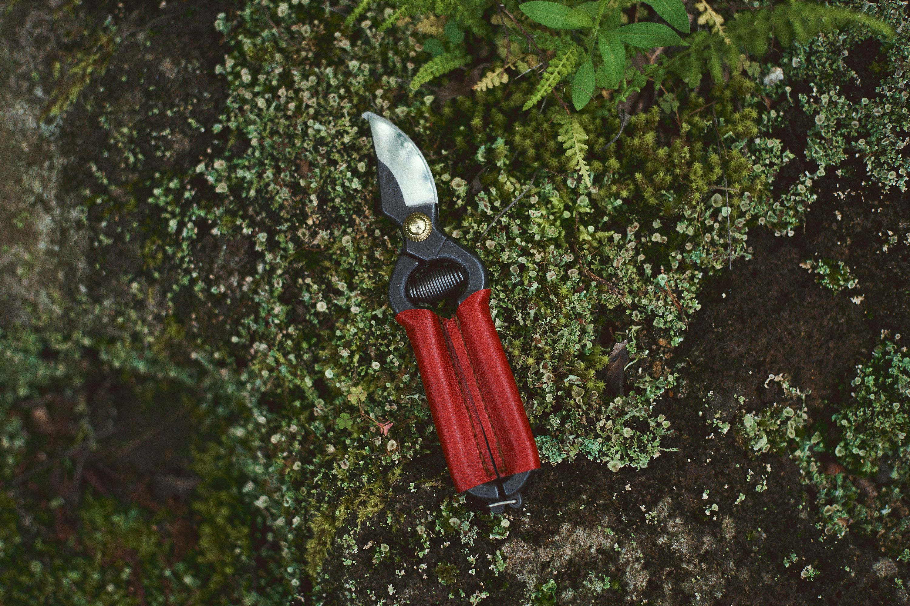 MIni Secateurs