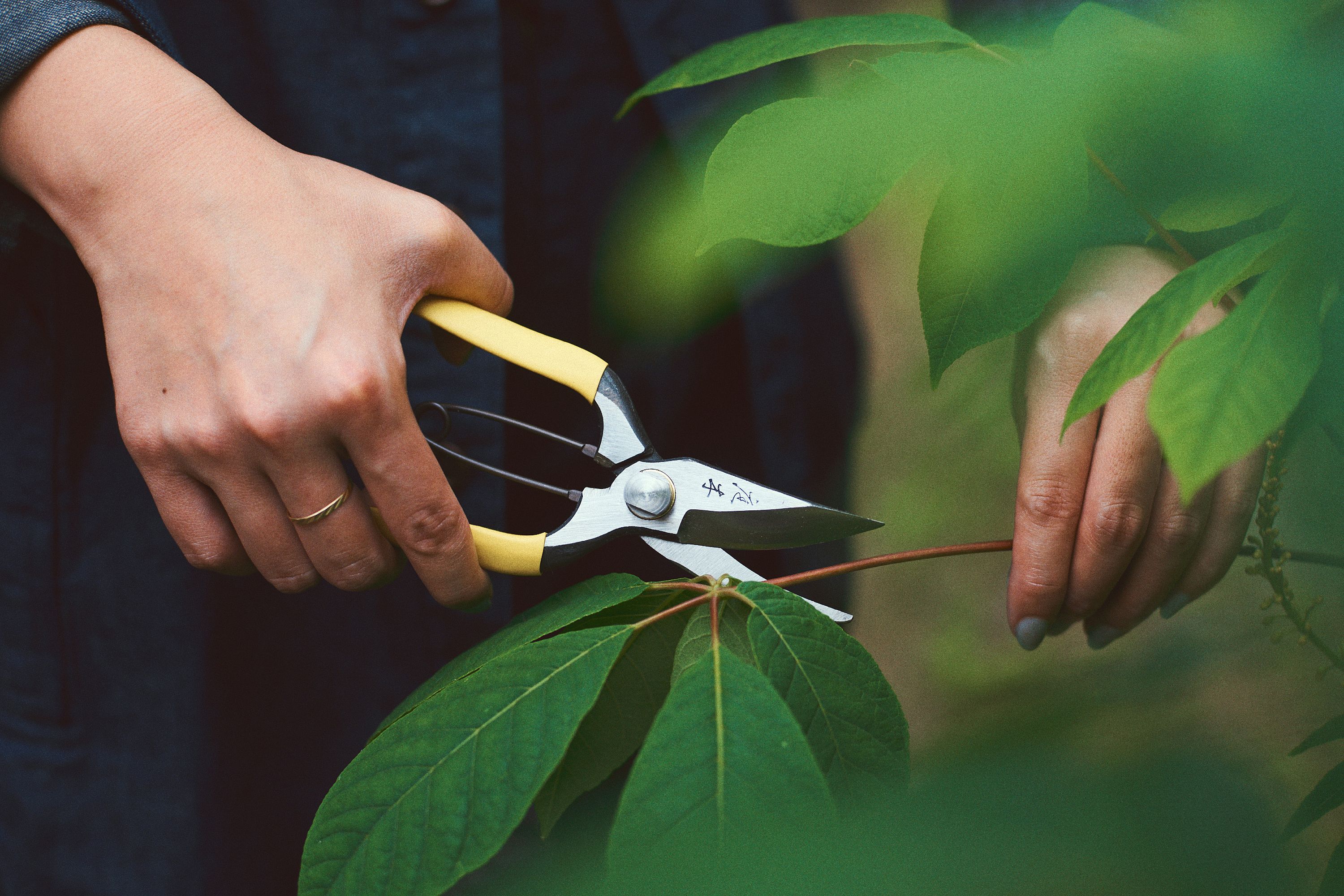 Niwaki GR Pro Lightweight Secateurs