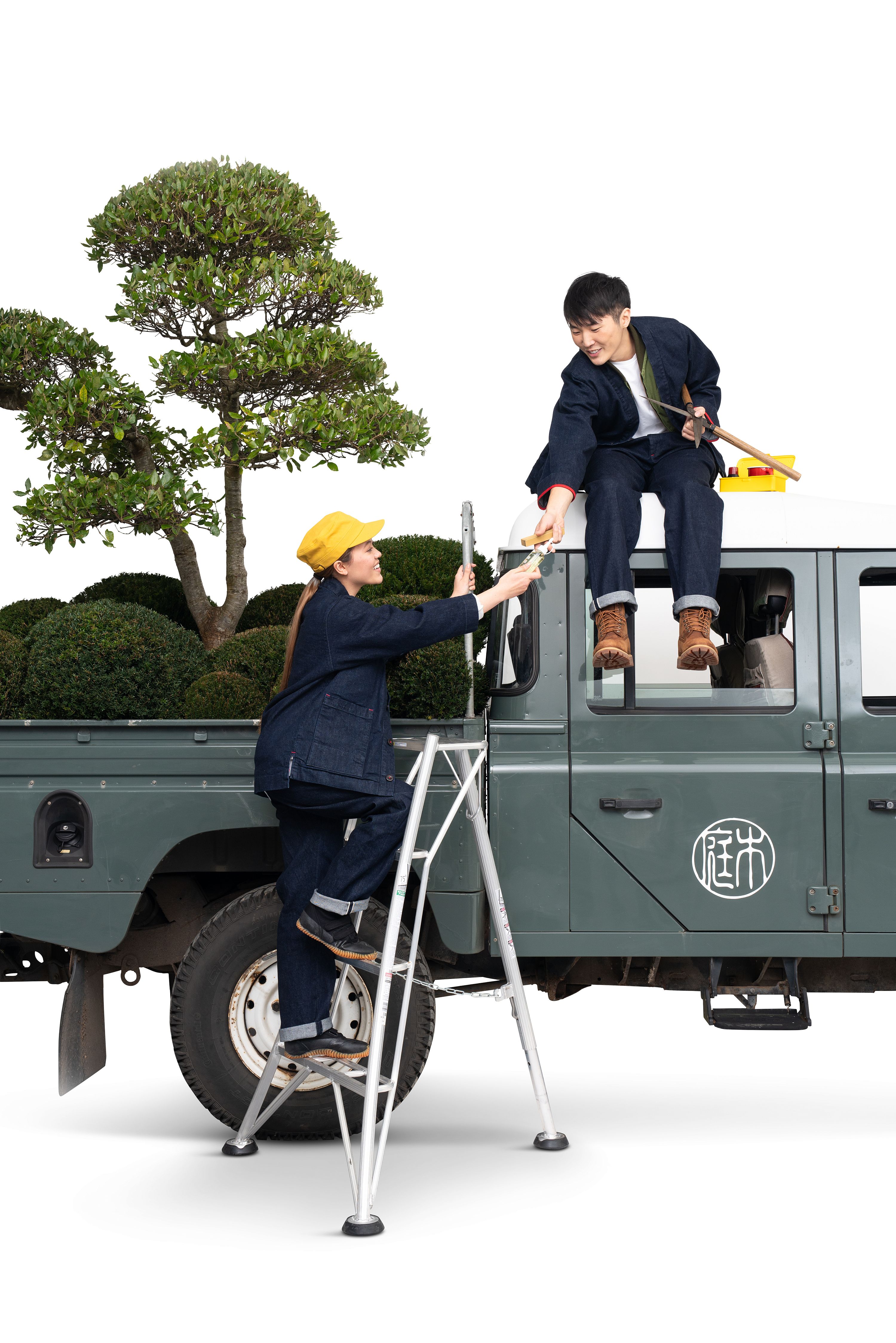 Care and maintenance, climbing a Niwaki Tripod Ladder to pass a sharpening stone