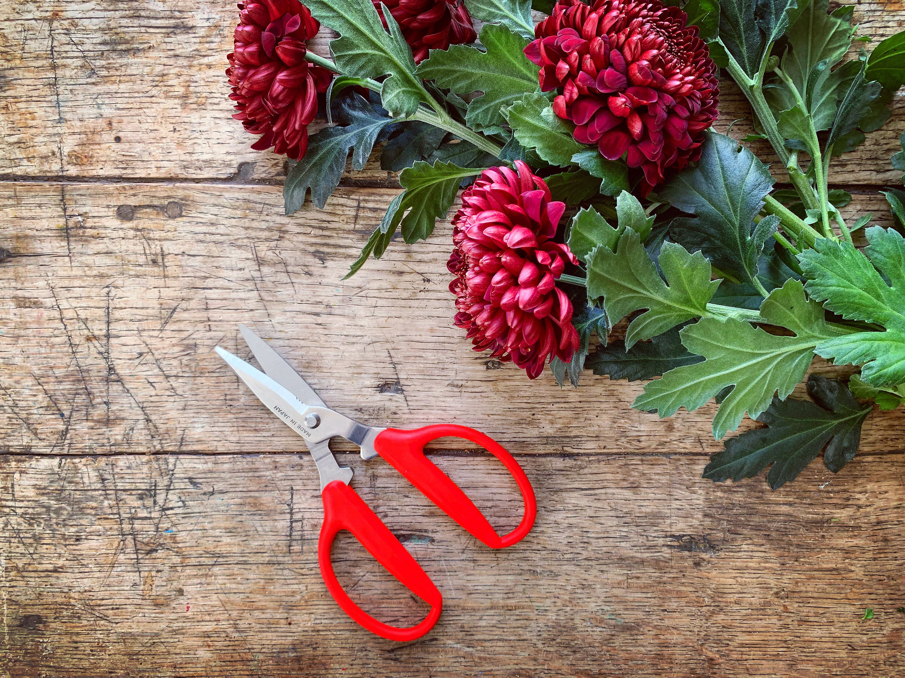 Niwaki Utility Scissors