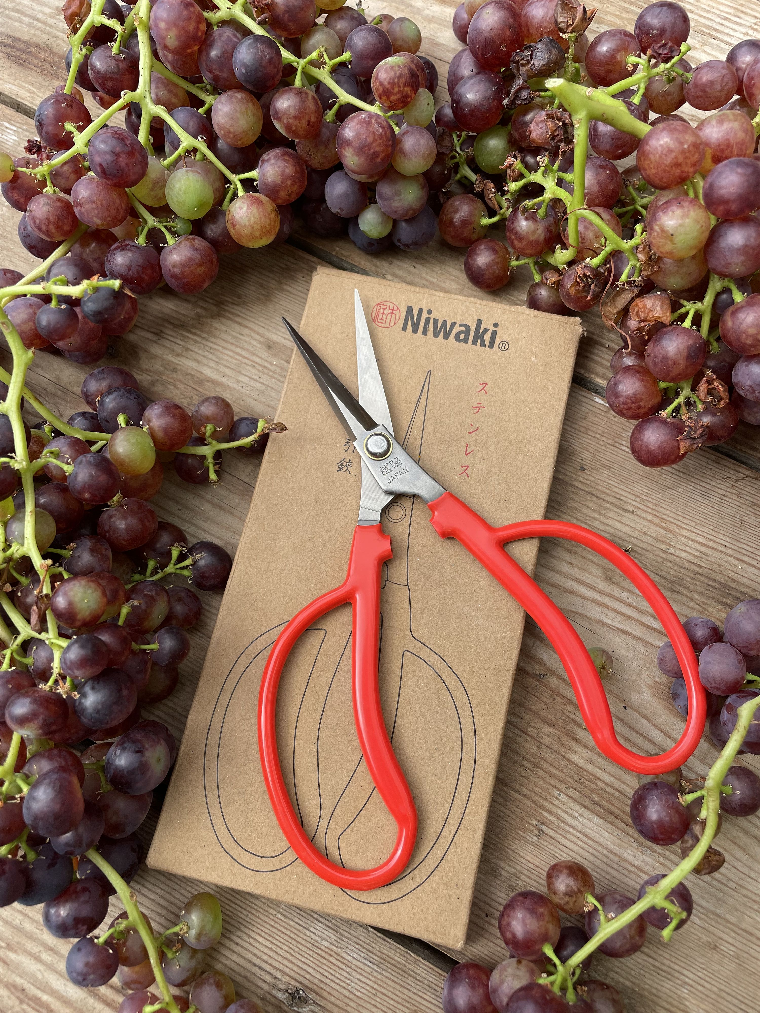 Niwaki Grape Snips